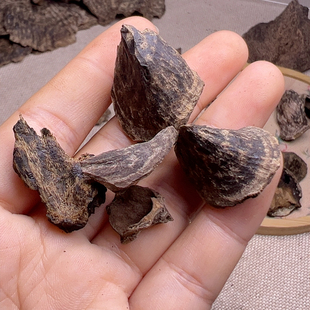 3.35克沉水壳子包头