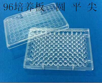 6/12/24/48/96孔细胞培养板细菌培养板菌体培养板96孔培养板酶标
