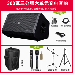 雅玛哈萨克乐器音箱300瓦大功率户外蓝牙直播内录k歌路演充电音响