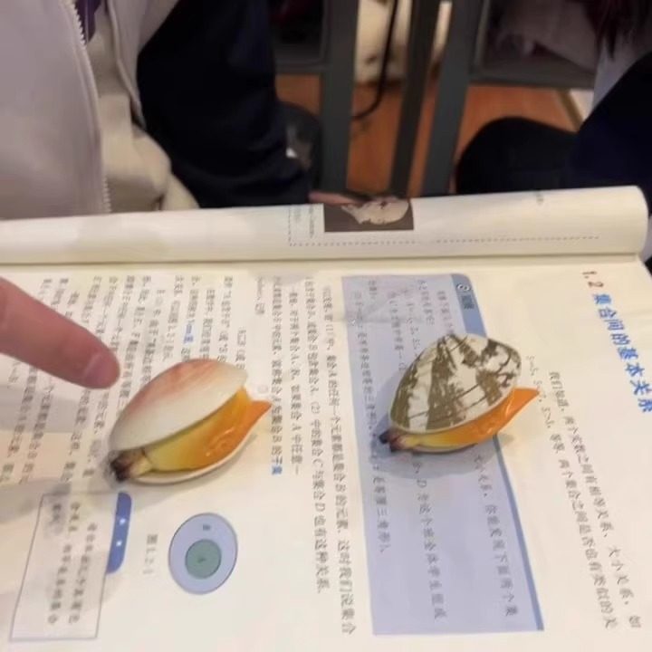 喷水蛤蜊玩具花甲喷水枪整蛊恶搞戏水儿童创意小礼物滋水仿真花甲,玩具/童车/益智/积木/模型,水枪,淘宝优惠券,粉丝福利购,淘宝优惠卷