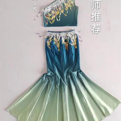 韩式傣族女舞蹈服装成人儿童舞裙傣族演出服半身裙练功上衣单件艺