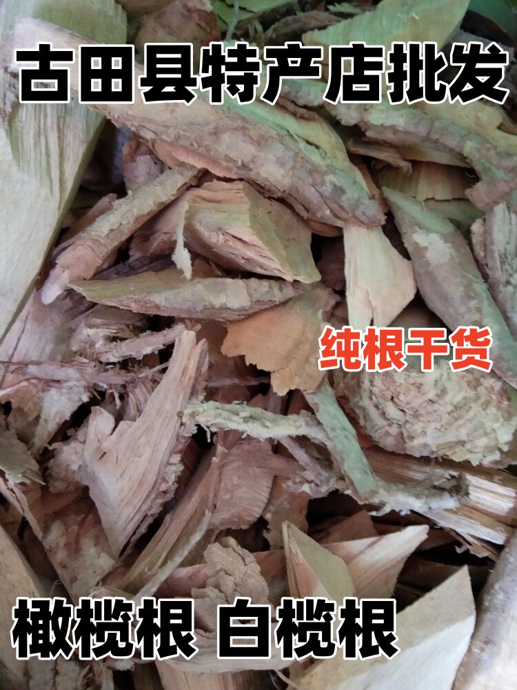 橄榄根 福建百年老树青橄榄根 白橄榄根 中草药 新鲜晒干纯根包邮