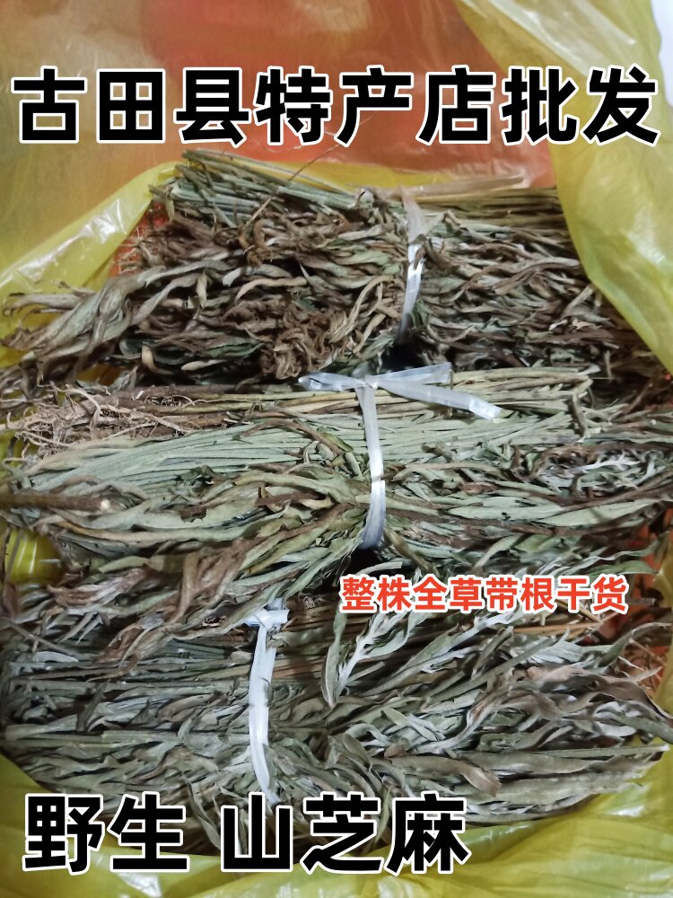 野生山芝麻 野芝麻 山油麻 假芝麻 岗脂麻 大山麻石秤砣 整颗干货