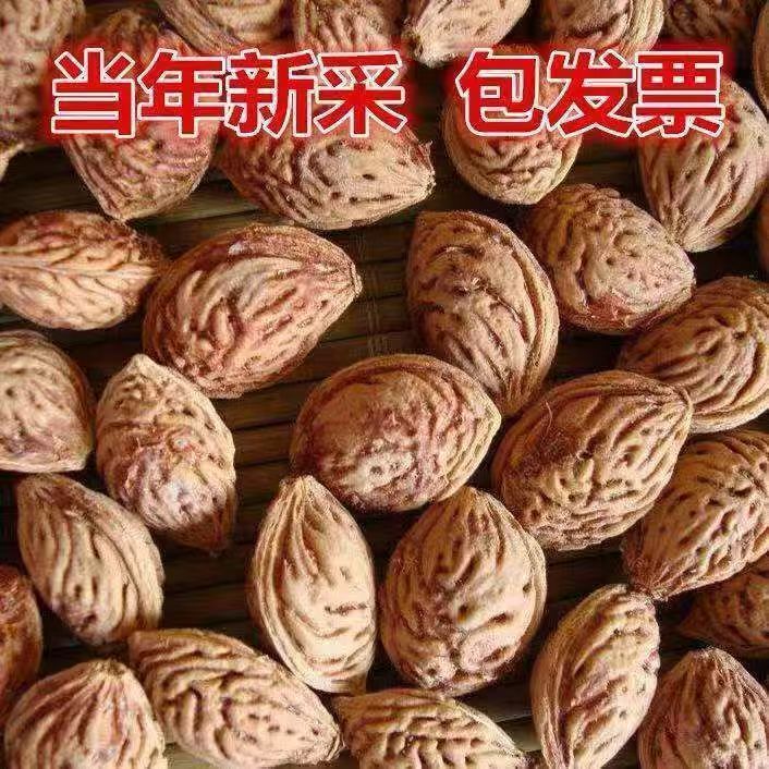 2025新毛桃核 山桃核纯天然毛桃山桃桃核原籽毛桃树