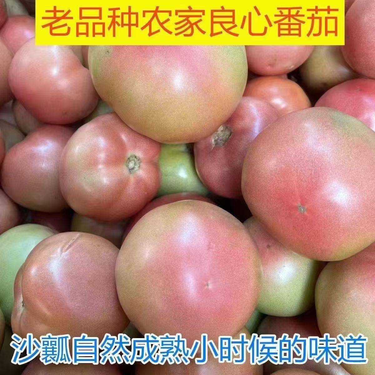 自然熟薄皮西红柿自家小园新鲜柿子东北番茄生吃蔬菜水果现摘发货,水产肉类/新鲜蔬果/熟食,番茄,淘宝优惠券,粉丝福利购,淘宝优惠卷