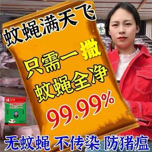 强力灭苍蝇 苍蝇药一扫光厨房饭店养殖场高效驱灭蝇饵剂杀虫剂