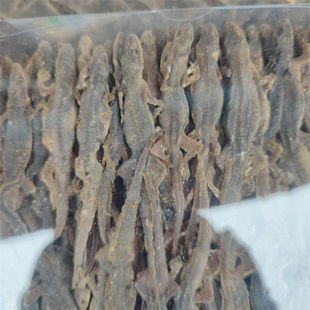 中药材壁虎中药材天龙干守宫正品磨粉壁虎干10克到500克