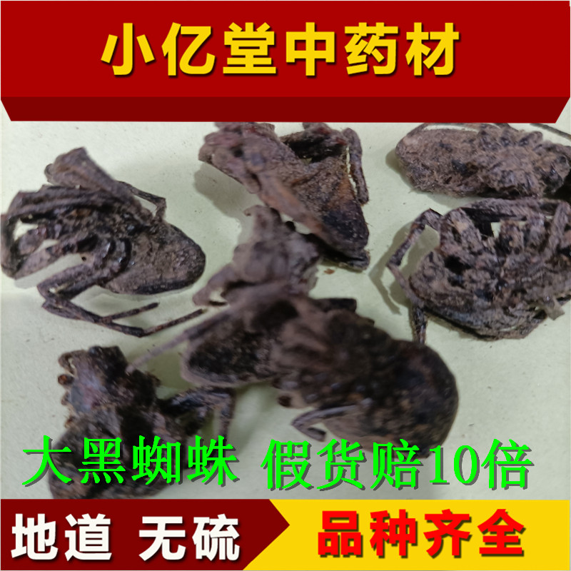 中药材大黑蜘蛛中药材7只45元选50g包邮按整只按克