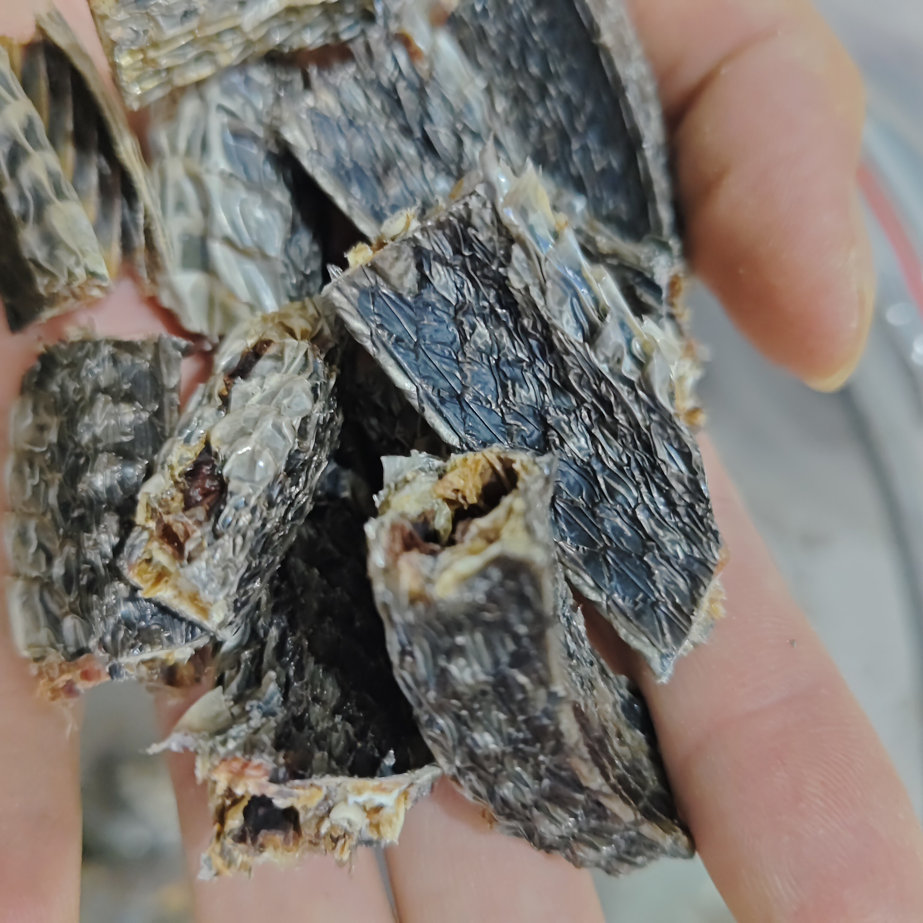 乌梢蛇中药材10克起包邮四川乌梢蛇干货需要整条备注