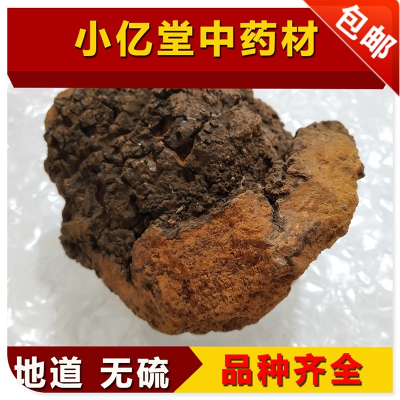 桦树茸俄罗斯中药材