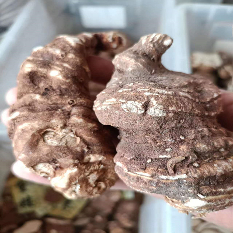 中药材七叶一枝花中药材重楼个片子50克起包邮特级云南重楼正