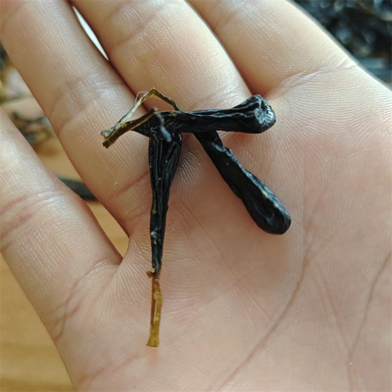 同仁堂品质蛇胆中药材眼镜蛇