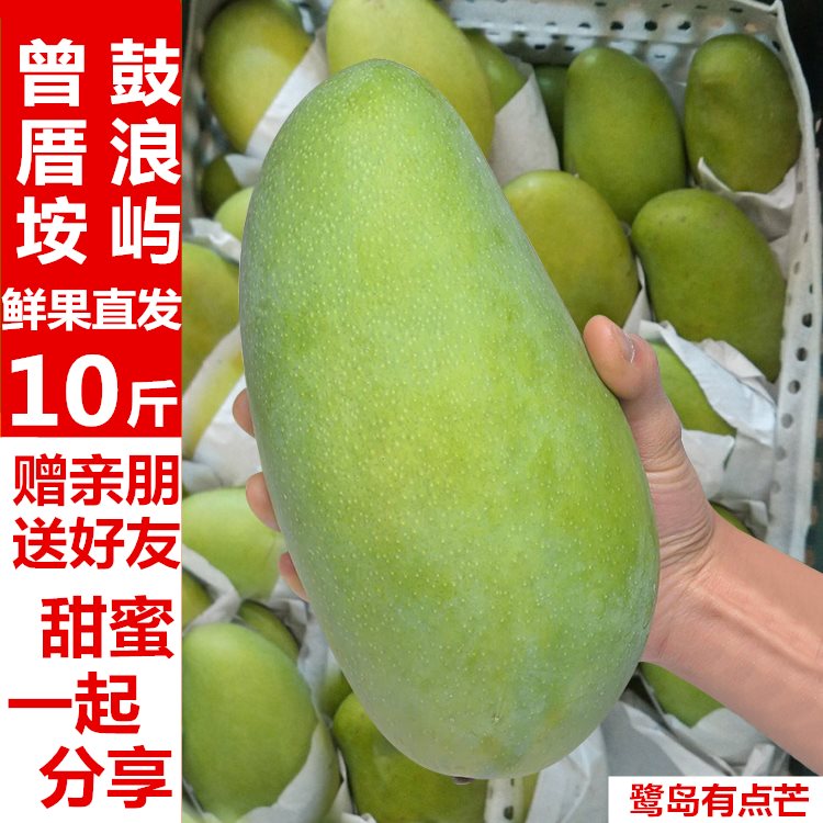 廈門大青芒金煌芒甜心青皮芒果10斤包郵新鮮水果海南臺灣壞果包賠