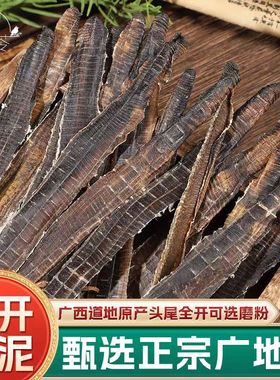 地龙整条广西新货中药材广地龙干蚯蚓无硫整条白颈全开无泥地龙粉