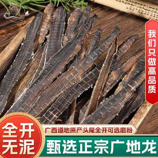 地龙整条广西新货中药材广地龙干蚯蚓无硫整条白颈全开无泥地龙粉