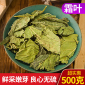 干 新鲜晒干纯天然 青 冬 特级中药材 霜后桑叶 桑叶茶500g正品 包邮