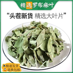 罗布麻叶 中药材正品特级新疆罗布麻茶叶精选无硫新鲜500g克包邮
