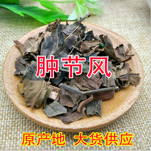 云南野生中药材肿节风 草珊瑚 仲节风 九节茶 九节风 接骨莲包邮