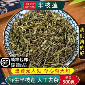 野生半枝莲半枝连当季新货干中药材精选500g另售白花蛇舌草铁树叶