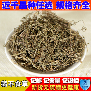 新货鹅不食草 中药材无硫鹅不食草新货 可免费打粉 正品500克包邮