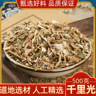 野生千里光500克 中药材中草药小孩洗澡泡澡九里光 一扫光 黄花母