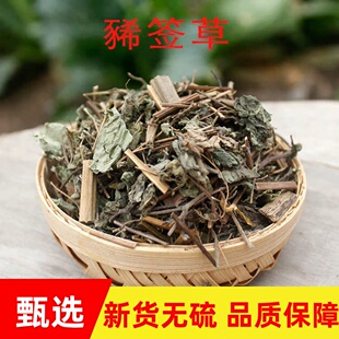 豨签草中药材 稀茜草 珠草 稀芡草 稀签草 正品中药材500克包邮