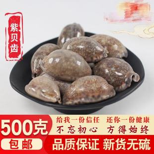 紫贝齿中药材 海南正品 紫贝 紫贝子 贝齿 特级大个500克包邮