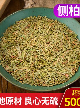 侧柏叶中药材正品新货