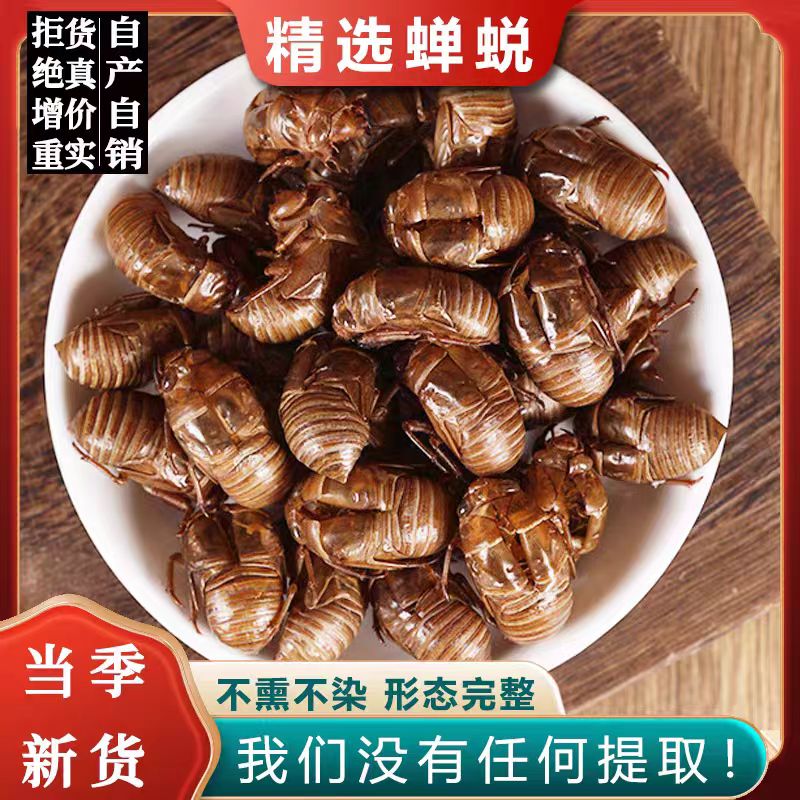 中药材正品新货蝉蜕蝉衣知了壳500g克精选天然蝉衣干净中草药