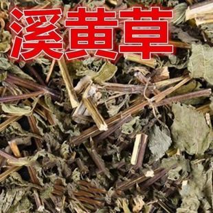 正品溪黄草500克中药材广西溪黄茶莓茶甘甜白茶 藤茶霉茶养生凉茶
