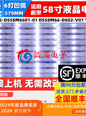 适用海尔LS58A51 LS58AL88A51 LS58B610N灯条DS58M66-DS02-V01 V0