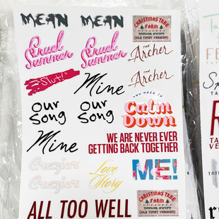 小红书同款霉霉TaylorSwift金属贴纸高颜值精美DIY防水装饰贴纸