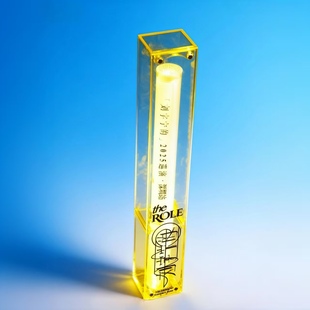 刘宇宁演唱会周边荧光棒收纳盒应援物料棒防尘盒桌面装饰收藏摆件