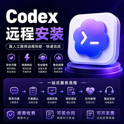 Codex远程安装基础配置Windows Mac新手一对一使用指导真人工程师