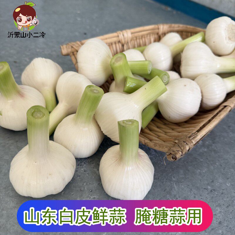 嫩蒜山东白皮鲜蒜新鲜大蒜现挖现发腌糖蒜泡蒜小青蒜蘸酱菜泡蒜 - 实物图