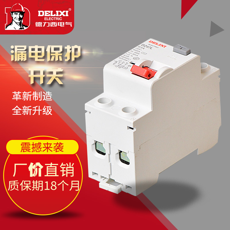 DZ47L 2P 10-63A代替CDL7广州德力西漏电断路器 纯漏电开关