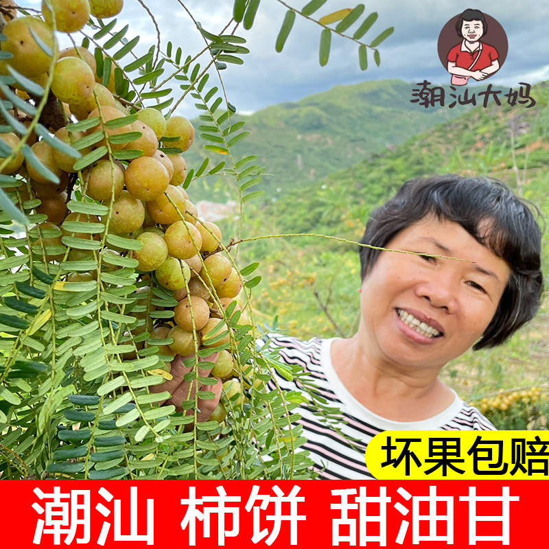 新鲜采摘油甘果新鲜回甘