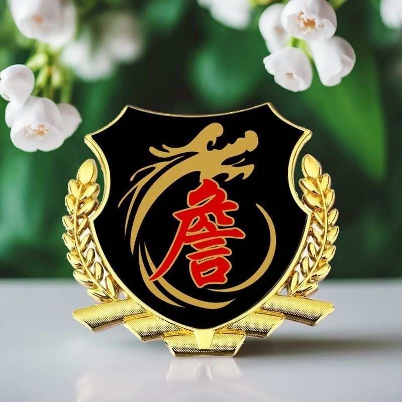 詹氏百家姓车贴个性侧窗贴大号金属立体侧标VIP车身车标汽车尾标