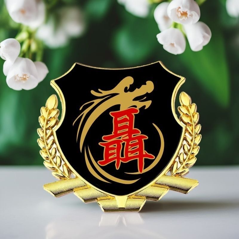 聂氏百家姓车贴个性侧窗贴大号金属立体侧标VIP车身车标汽车尾标