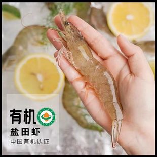 有机盐田虾仁无冰大号虾肉低脂去虾线速冻有机0抗虾仁儿童辅食