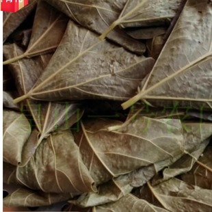 【拍一发五】桐子叶粑粑包谷馍嫩苞谷粑新鲜嫩玉米三角粑现做现发