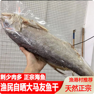 马友鱼干阳江特产一夜埕自晒淡口咸鱼干深海天然马鲛鱼干海鲜干货