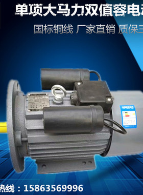 单相电动机/国标铜线/220v立式电机YL100L14（2.2KW 四极）1400转