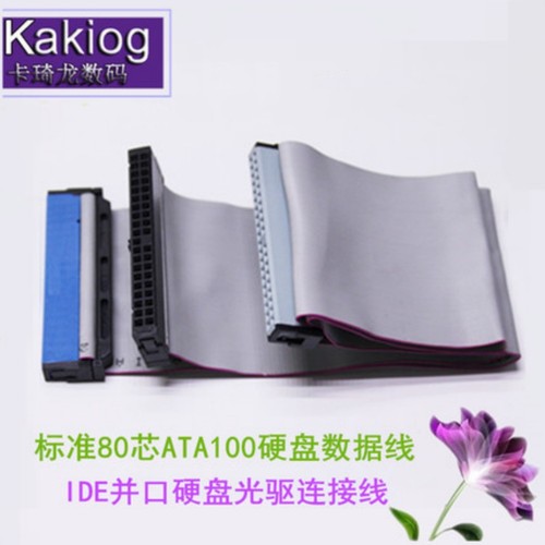 原装硬盘光驱一拖二并口线