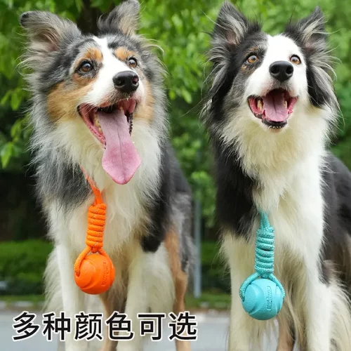 艾森威尔狗狗耐咬绳结球弹力磨牙训练互动玩具宠物用品跨境玩具球