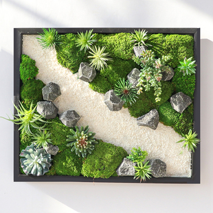 新品仿真绿植多肉白发苔藓组合墙面壁挂餐厅书房会客厅装饰墙饰