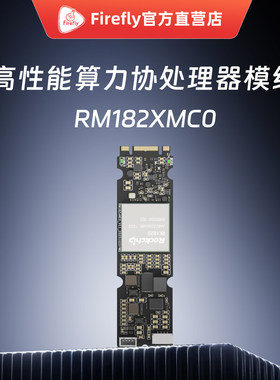 RK1828MC0 M.2计算力卡RK1820/1828大模型AI人工智能开发板瑞芯微