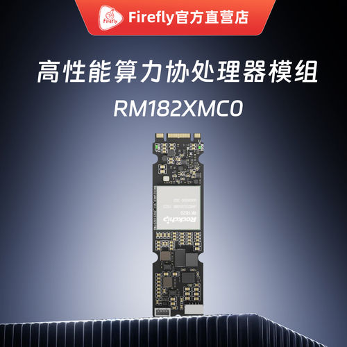 RM182XMC0M.2算力协处理器20TOP