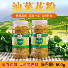 2023油菜花粉青海农家花粉天然纯正品新鲜未破壁食用蜂花粉500克