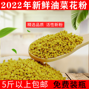 2022新鲜油菜粉活性高纯天然食用蜂花粉纯正农家自产食用花粉